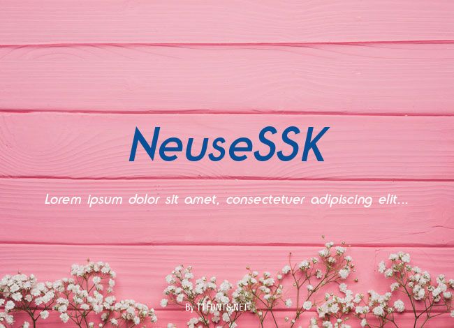 NeuseSSK example